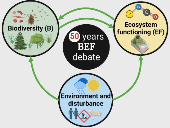 New Conceptual Framework Linking Biodiversity, Ecosystem Functions, and ...